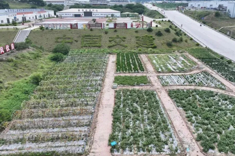 平陆运河全线通水,开辟中国西南出海新通道7.jpg